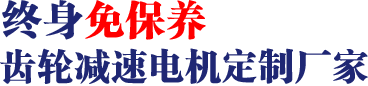 17年專注齒輪減速馬達(dá)、調(diào)速電機(jī)研發(fā)、生產(chǎn)